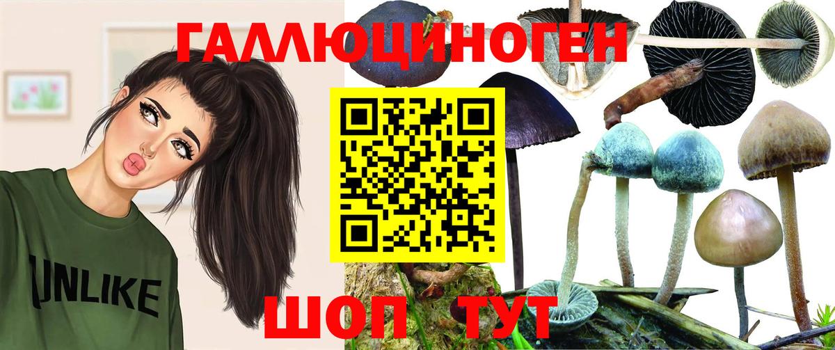 Псилоцибиновые грибы MAGIC MUSHROOMS Белебей