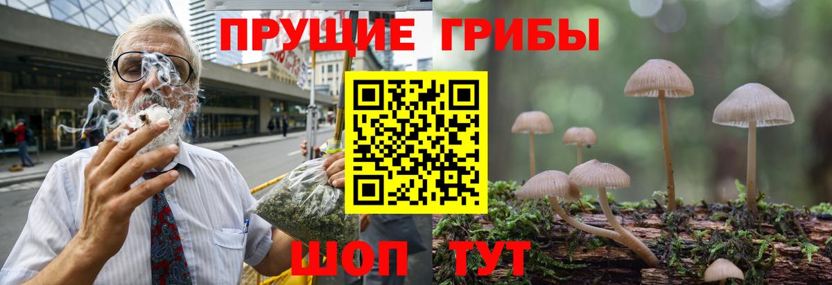 Галлюциногенные грибы прущие грибы  Вход с VPN  Белебей 